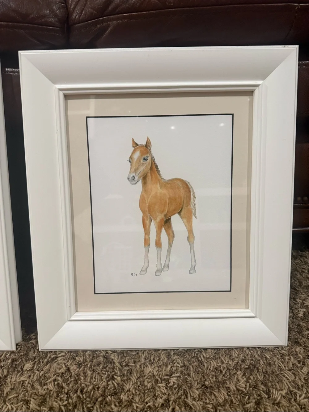 Professional framed 14”x 16” animal prints